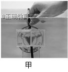 www.xiangpi.com