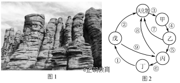 www.xiangpi.com