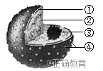 www.xiangpi.com