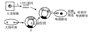 www.xiangpi.com