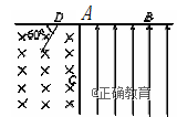 www.xiangpi.com