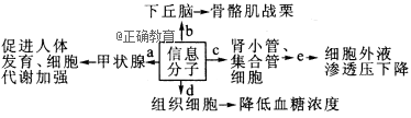 www.xiangpi.com