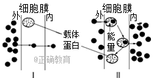 www.xiangpi.com