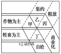 www.xiangpi.com