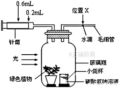 www.xiangpi.com