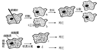 www.xiangpi.com
