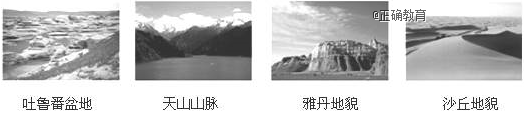 www.xiangpi.com