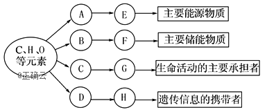 www.xiangpi.com