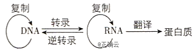 www.xiangpi.com