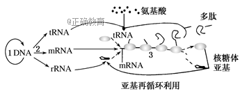 www.xiangpi.com