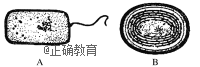 www.xiangpi.com