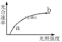 www.xiangpi.com