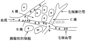 www.xiangpi.com