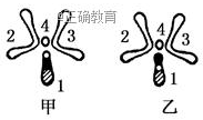 www.xiangpi.com