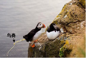 www.xiangpi.com