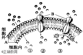 www.xiangpi.com