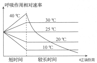 www.xiangpi.com