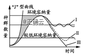 www.xiangpi.com