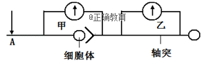 www.xiangpi.com
