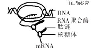 www.xiangpi.com
