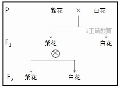 www.xiangpi.com