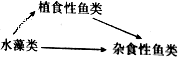 www.xiangpi.com