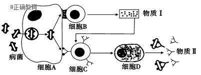 www.xiangpi.com