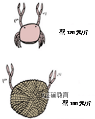 www.xiangpi.com