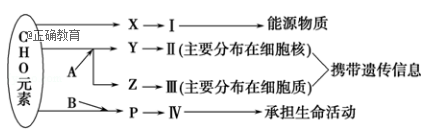 www.xiangpi.com