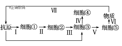 www.xiangpi.com
