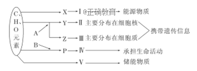 www.xiangpi.com