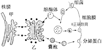 www.xiangpi.com