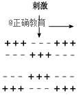 www.xiangpi.com