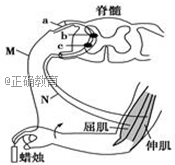 www.xiangpi.com