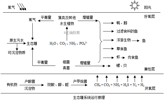 辽宁省抚顺市2018届高三3月高考模拟考试理科