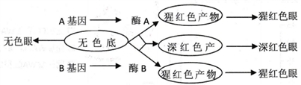 www.xiangpi.com