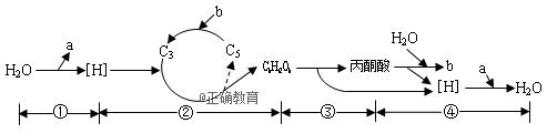 www.xiangpi.com