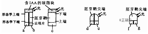 www.xiangpi.com
