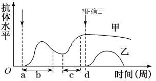www.xiangpi.com