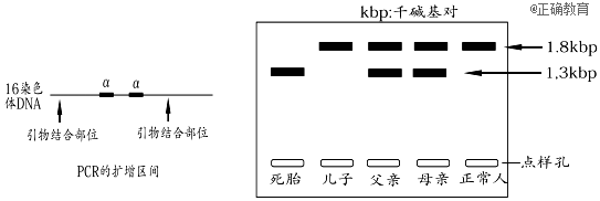 www.xiangpi.com