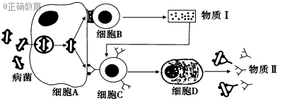 www.xiangpi.com