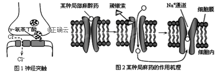 www.xiangpi.com