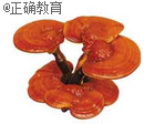 www.xiangpi.com