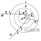 www.xiangpi.com
