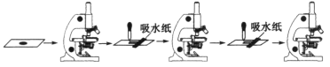 www.xiangpi.com