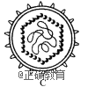 www.xiangpi.com