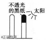 www.xiangpi.com