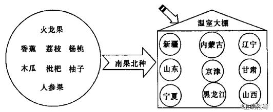 www.xiangpi.com