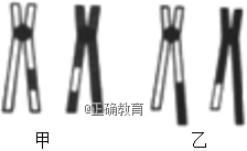 www.xiangpi.com
