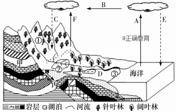 www.xiangpi.com